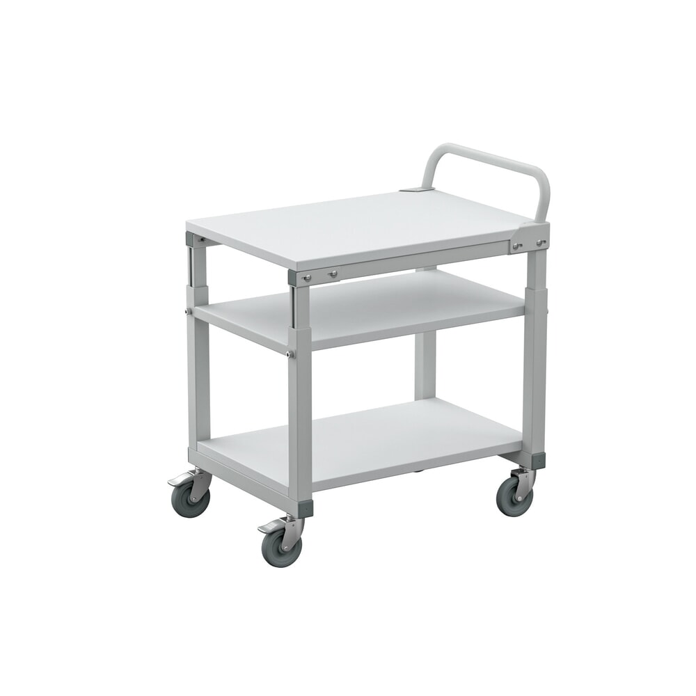Číslo obrázka výrobku 3: Pojazdný stolík, nosnosť 150 kg, Š x H 700 x 500 mm
